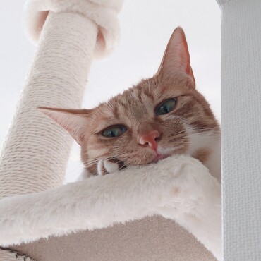 の写真