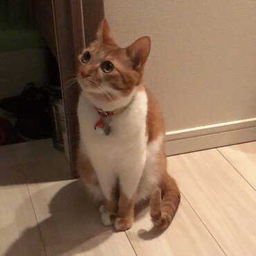 の写真