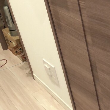 の写真