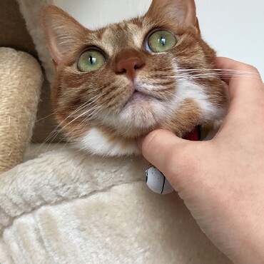 の写真