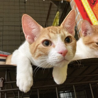 やんちゃボーイ⭐️アウティ