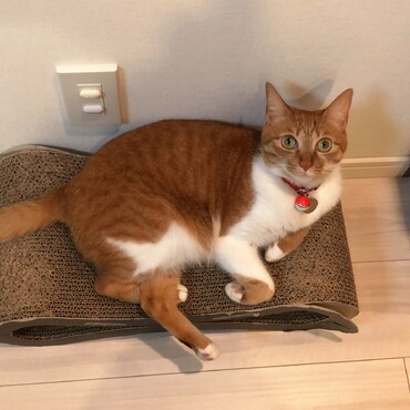 の写真