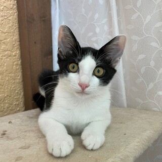 スリスリが止まらない甘えん坊♡ミオくん