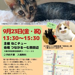 ねこチュー第14回猫の譲渡会