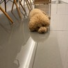 眠たい。。。