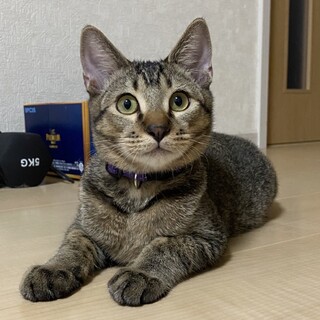 おっとり男子❤︎のぶ君