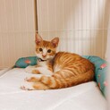 甘えん坊なこつぶクン♡