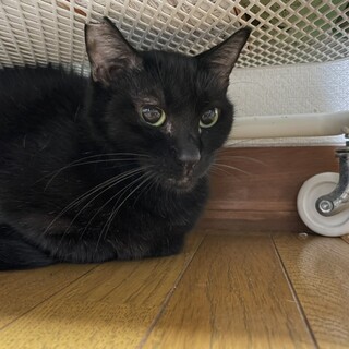 よく頑張ったねミレちゃん☺︎！