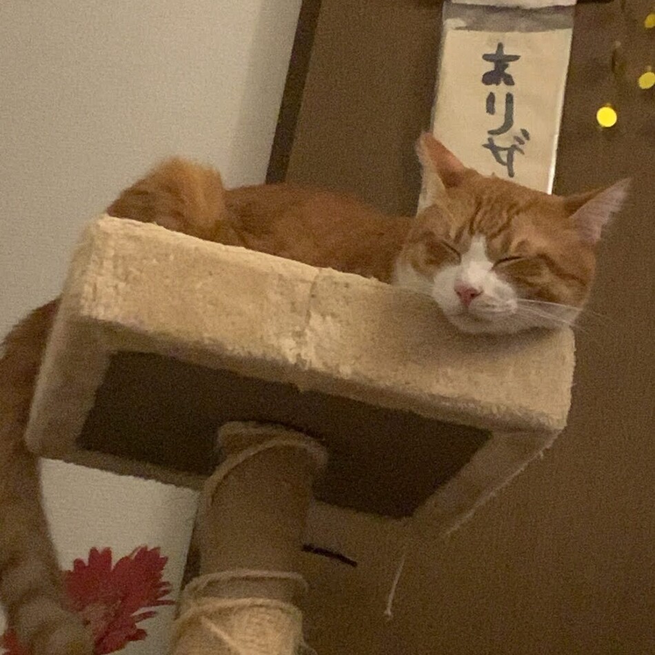 むぎのカバー写真