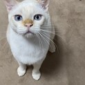 【里親決定】ありがとうございました。