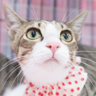 美少女「渚ちゃん」経験は宝なり！頑張れ☺︎