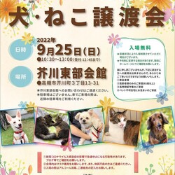 犬●猫　譲渡会