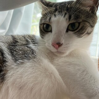 スリゴロの素質満載！「ジャックくん」☺︎ 