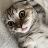 もえぴ