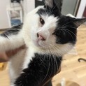 ボクも家族がほしいんだなぁぁぁ。