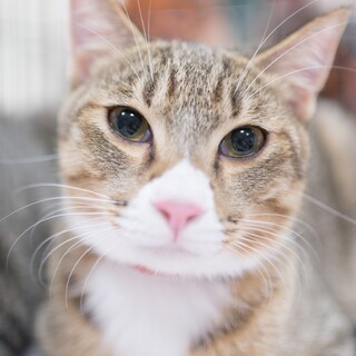 おっきな心におっきな体のムーくん♡