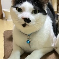 すっぴー