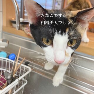 兄妹の分も必ず幸せになろうね、きなこちゃん☺︎
