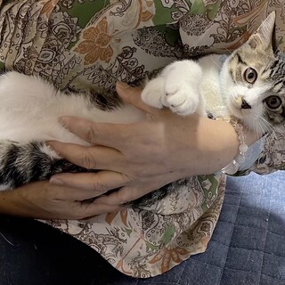 素敵な新しい家族ができました♡海くん