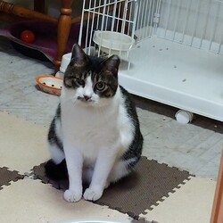 「久しぶりのログ」サムネイル1