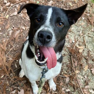 ムームーちゃん！