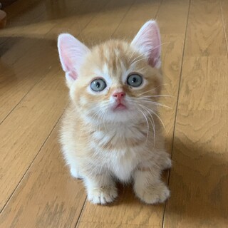 【9/25東銀座】ミウくん2ヶ月♪