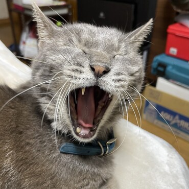 大丈夫じゃーよ、みんなしっかりしてるから(@￣ρ￣@)