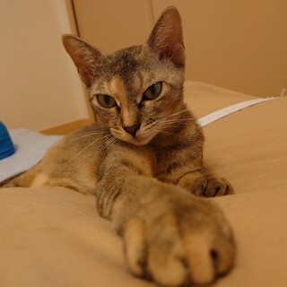 ごはん大好き♡遊ぶの大好き♡りんちゃん