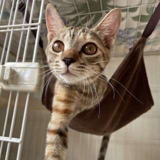 めちゃ甘♡おりちゃん５ヶ月