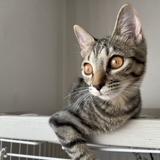 甘々♡らきちゃん５ヶ月