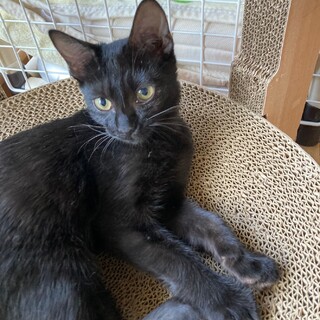 幸せはすぐそこに☺︎きびとこくとう姉妹