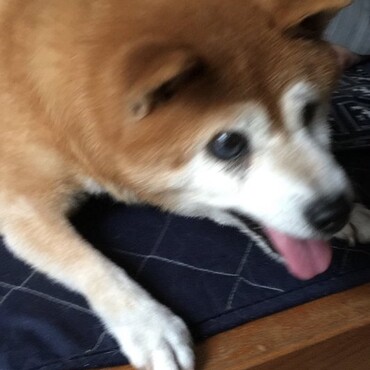 の写真