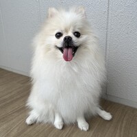 まるお