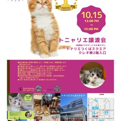 トニャリエ譲渡会