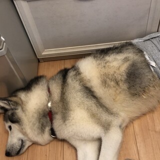 事情により、募集一時停止中です。