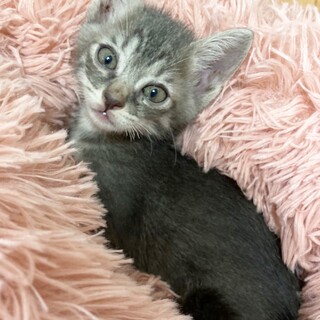 尊いがすぎる！1ヶ月半の天使ちゃん