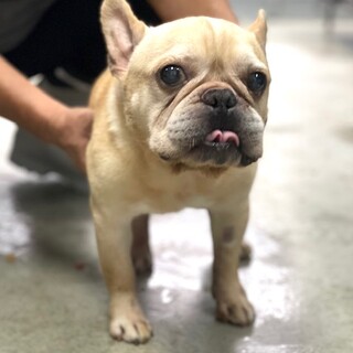 22-M482　なおとら君です！！