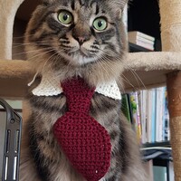 Mango(マンゴー）