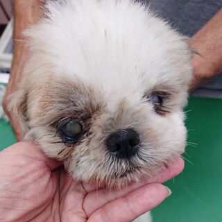 幸せになれました！ありがとうございます。