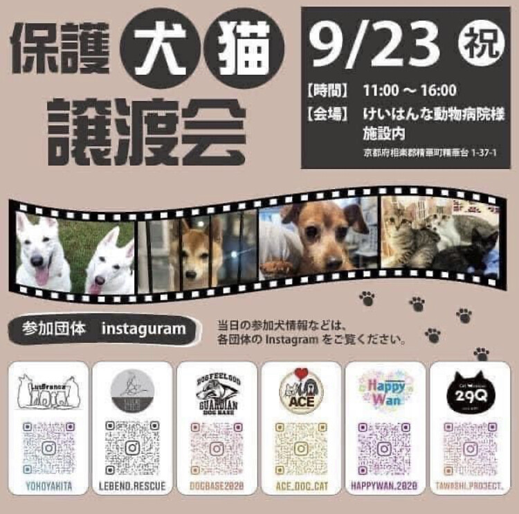 保護犬 譲渡会」（NPO法人 DOG BASEのイベント #10911） :: ペットの 