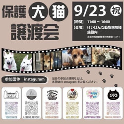 保護犬　譲渡会