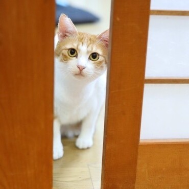 の写真