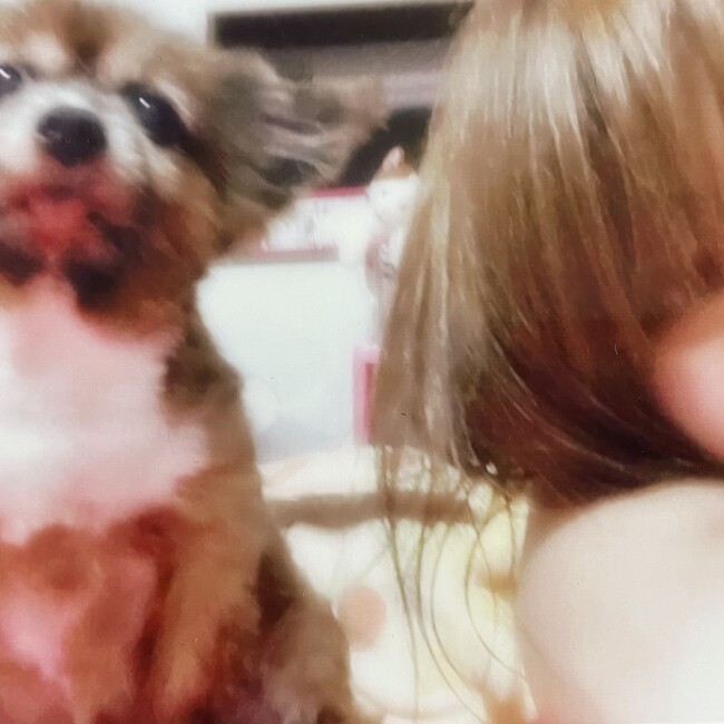 舞蝶のカバー写真