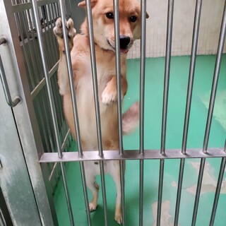 ありがとうございました！