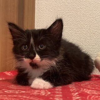 ありがとうございました★フローレンちゃん