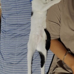 伸びます伸びます