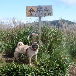 山登り