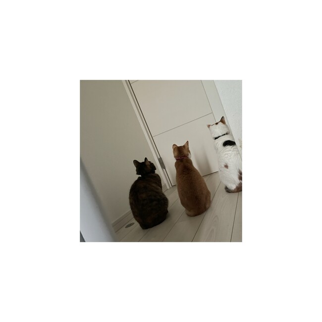 みくちやのカバー写真