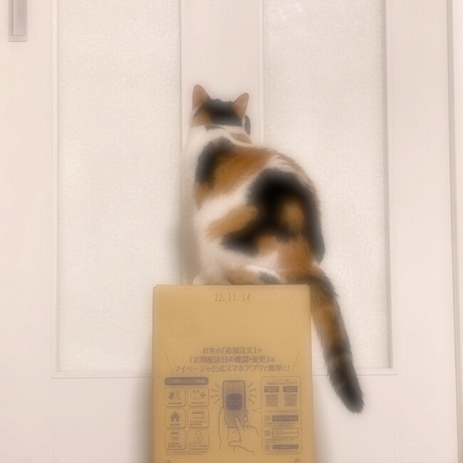 ネコタスみずなみのカバー写真