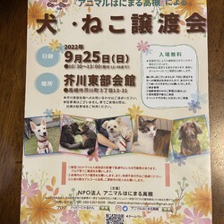 NPO法人アニマルはにまる高槻による犬・猫譲渡会